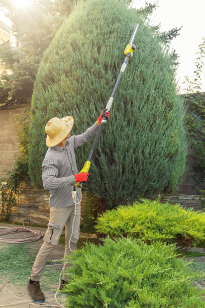 Best Seasonal Cleanup (Spring/Fall)  in Hawthorne, NJ
